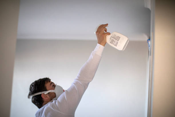 Best Residential Mold Removal  in Leesport, PA