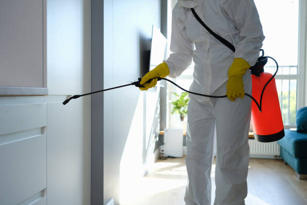 Best Fast Mold Removal  in Leesport, PA
